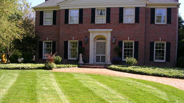 manicured_lawn_and_plantings